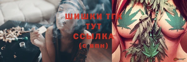 прущие грибы Заволжск