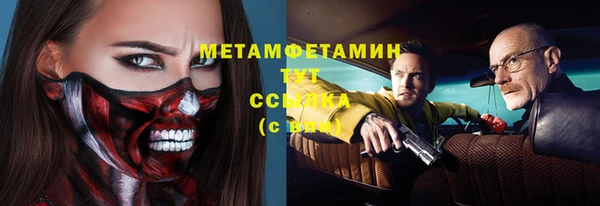 прущие грибы Заволжск