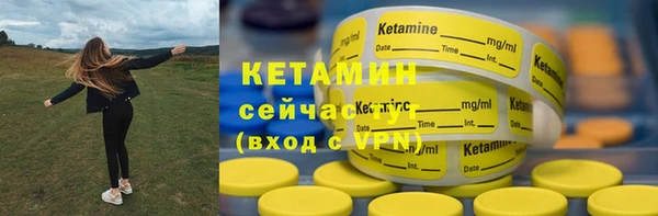 прущие грибы Заволжск