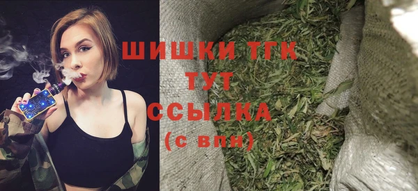 прущие грибы Заволжск