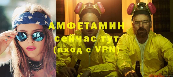 прущие грибы Заволжск