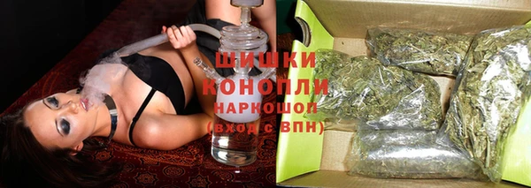 прущие грибы Заволжск