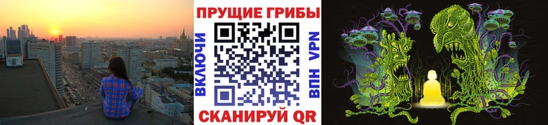 Купить  Тихвин  Галлюциногенные грибы Psilocybine cubensis 